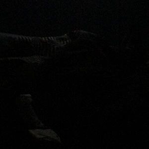 Meet your Posher, Isaiah